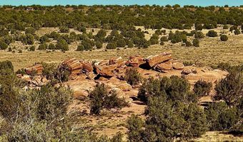 228 County Rd N9328, Concho, AZ 85924