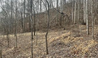 Martins Creek Road, Barnardsville, NC 28709