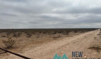 1327 Mcfarland Rd, Carlsbad, NM 88220