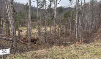 99999 Mountain Crest Dr, Bakersville, NC 28705