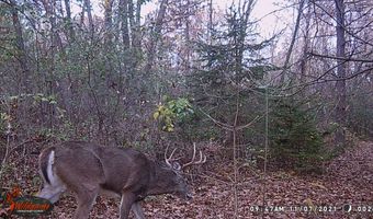 8752 HWY A, Almond, WI 54909