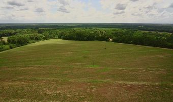 0 N County Rd. 75, Ashford, AL 36312