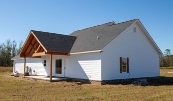 4419 Altamaha School Rd, Baxley, GA 31513