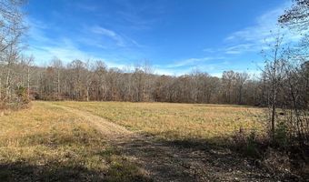 OFF OF SULPHUR CREEK RD, Big Sandy, TN 38221