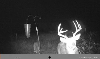 17810 Harreld Rd, Beggs, OK 74421