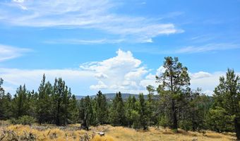 Canvasback Drive 28, Bonanza, OR 97623