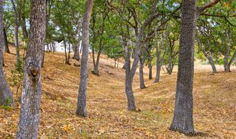 500 Pompadour Dr, Ashland, OR 97520