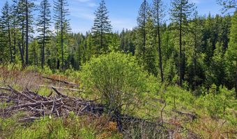 NNA Stone Rd Lot 2 20.0 Acres, Blanchard, ID 83804