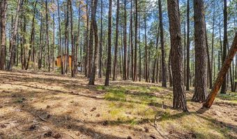432 Blue Ridge Dr, Bayfield, CO 81122