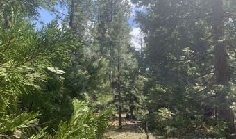 Railroad Flat Dr, Alturas, CA 96101