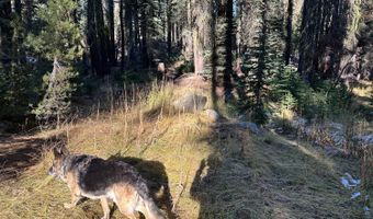 550 Cabbage Patch Log Rd, South Lake Tahoe, CA 95223