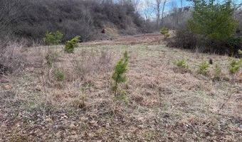 Lots 7-8 Chrystal Lane, Barboursville, WV 25504