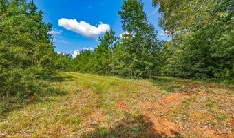 Harry Priddy Road, Americus, GA 31719