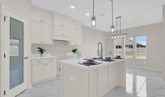 433 Serg Loop, Alamo, TX 78516