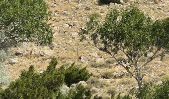 TBD Wall St 14, Cody, WY 82414