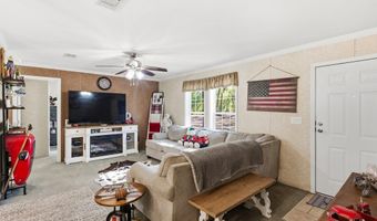 4506 10th St, Bell, FL 32619