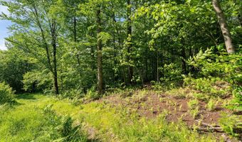 115 Stone Hill Rd, Bolton, VT 05477
