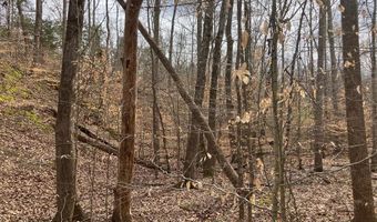 213 Wynn Fry, Big Sandy, TN 38221