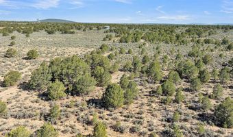 20 Acres Highway 285, Carson, NM 87577