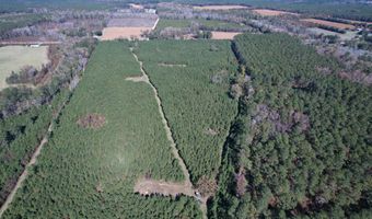 57 40 Acres-TBD Cades Rd, Cades, SC 29518