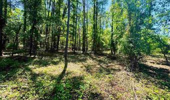 Grants Mill Rd W, Bennettsville, SC 29512