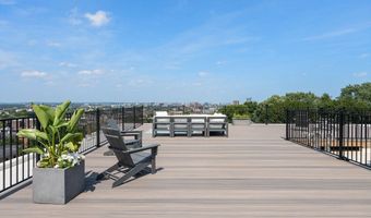 249 Corey Rd 203, Boston, MA 02135