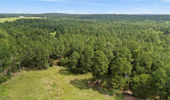 6779 County Road 215, Anderson, TX 77830