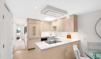 100 E Dean St 3B, Aspen, CO 81611