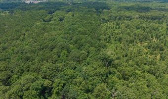 204 Silver Leaf Dr, Benton, LA 71006