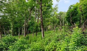 Skycamp Trail lot 41, Banner Elk, NC 28604