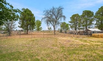 516 CHISOM Dr, Anthony, TX 79821