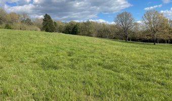 TBD County Road 4171, Berryville, AR 72616