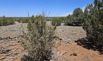 ACR N8388 and N8385, Concho, AZ 85924