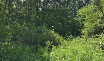 Bryant Hollow Road, Alderson, WV 24910