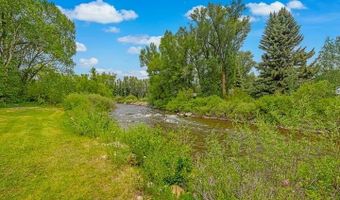 209 Deer Path Ln, Almont, CO 81230