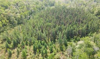 Tbd 359TH LN, Aitkin, MN 56431