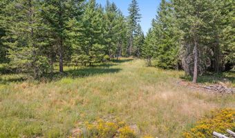 E Quarter Mile Rd, Athol, ID 83801
