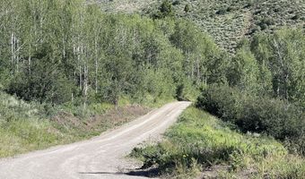 1041 HARMONY CREEK Dr, Afton, WY 83110