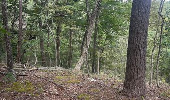 20 EWALLS RIDGE Rd, Basye, VA 22810