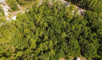 Tbd NW 16TH AVENUE, Bell, FL 32619