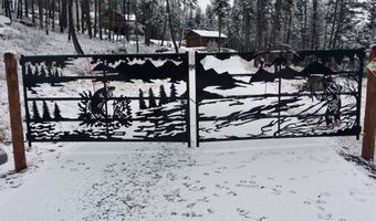 1173 Cygnet Trl, Bigfork, MT 59911