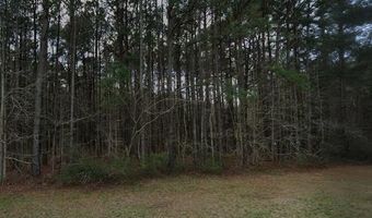 0 Gum Swamp Rd Rd, Ayden, NC 28513