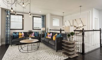 3270 Wolf Lake Ave, Apopka, FL 32712