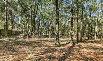 6108 Old River Rd, Baker, FL 32531