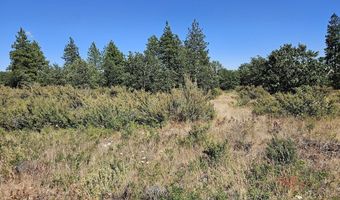 67 TIMBER Ln, Bickleton, WA 99322