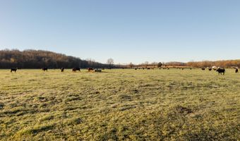Farm Road 2007, Aurora, MO 65605