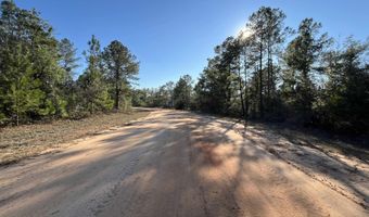 Deshutes Drive, Alford, FL 32420