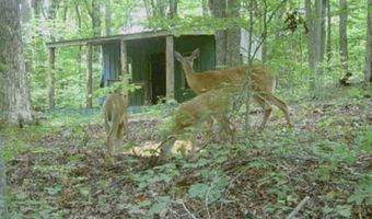 78 Nora Loop, Alpha, KY 42603