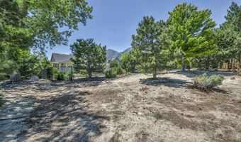 202 Taylor Creek Rd, Gardnerville, NV 89460