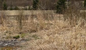 Township Road 5743, Alborn, MN 55702